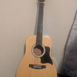 Protocol Classic Guitar Read Description 