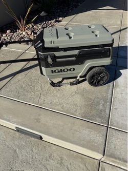 Igloo cooler
