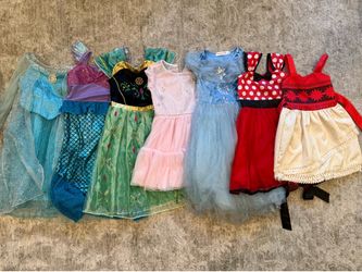 Disney Dresses, Play Shoes, Princess Pet Purse