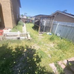Clean ups yards trees bushes for sale