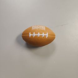 Squishy Fidget Football