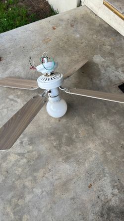 Fan