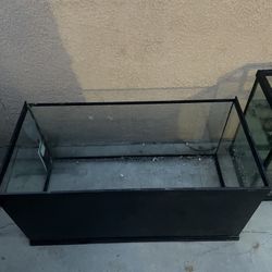 Medium size reptile enclosure