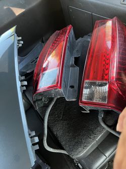 Escalde Taillights 