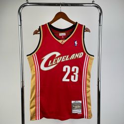 Cleveland Cavaliers LeBron James