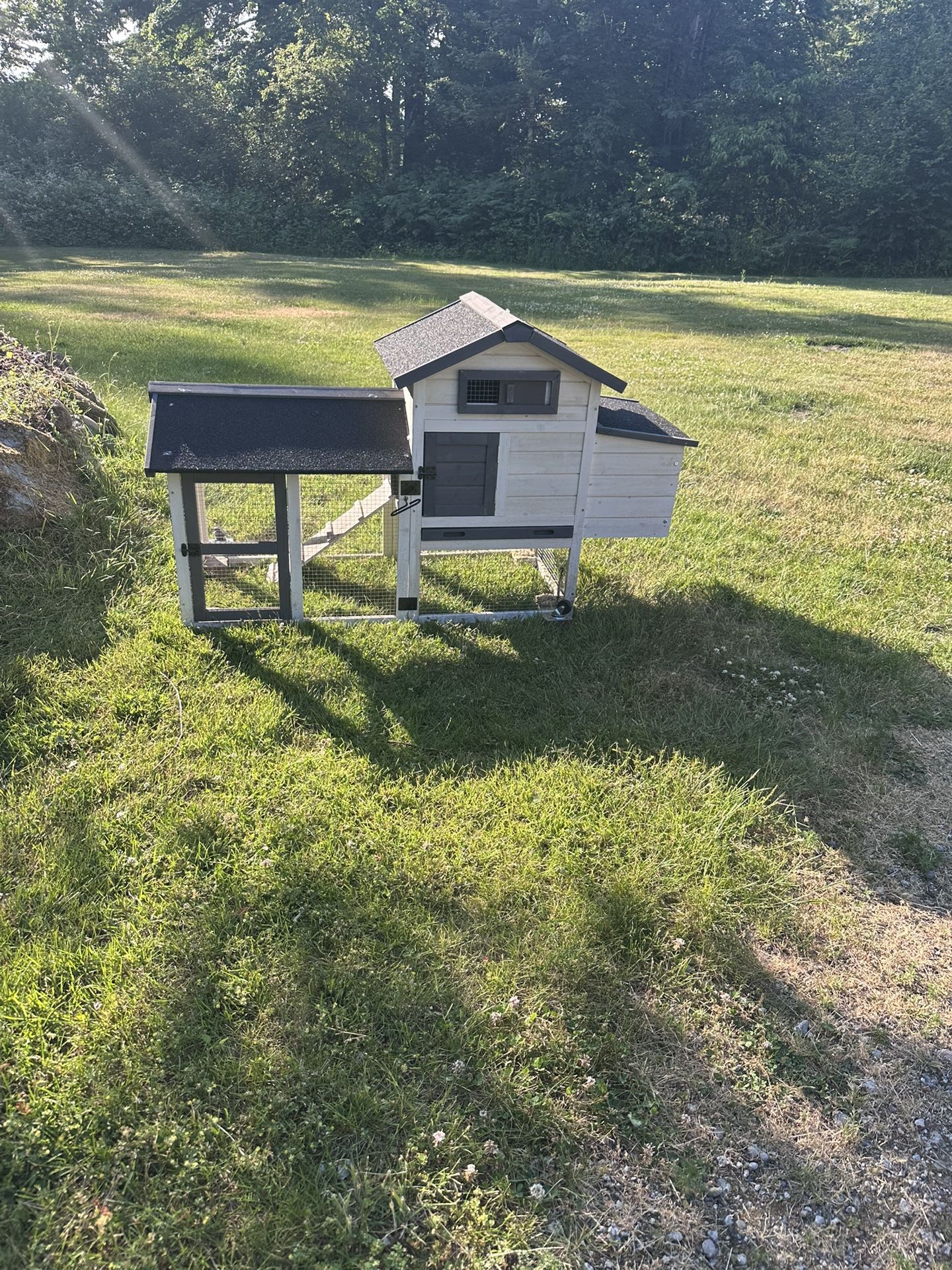 Chicken Coop
