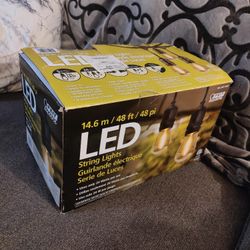  48' LED Filament String Light Indoor/Outdoor 