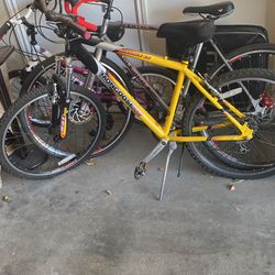 Mingoose Pro Bike
