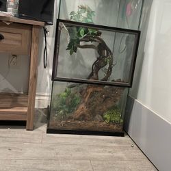 Reptile Enclosure