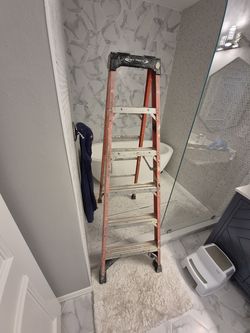 6ft ladder