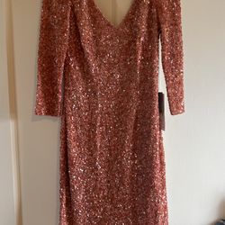 Sequin Dress 