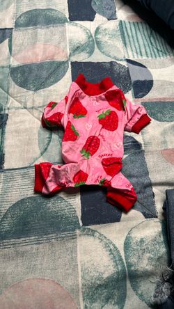 Ropa De Perro