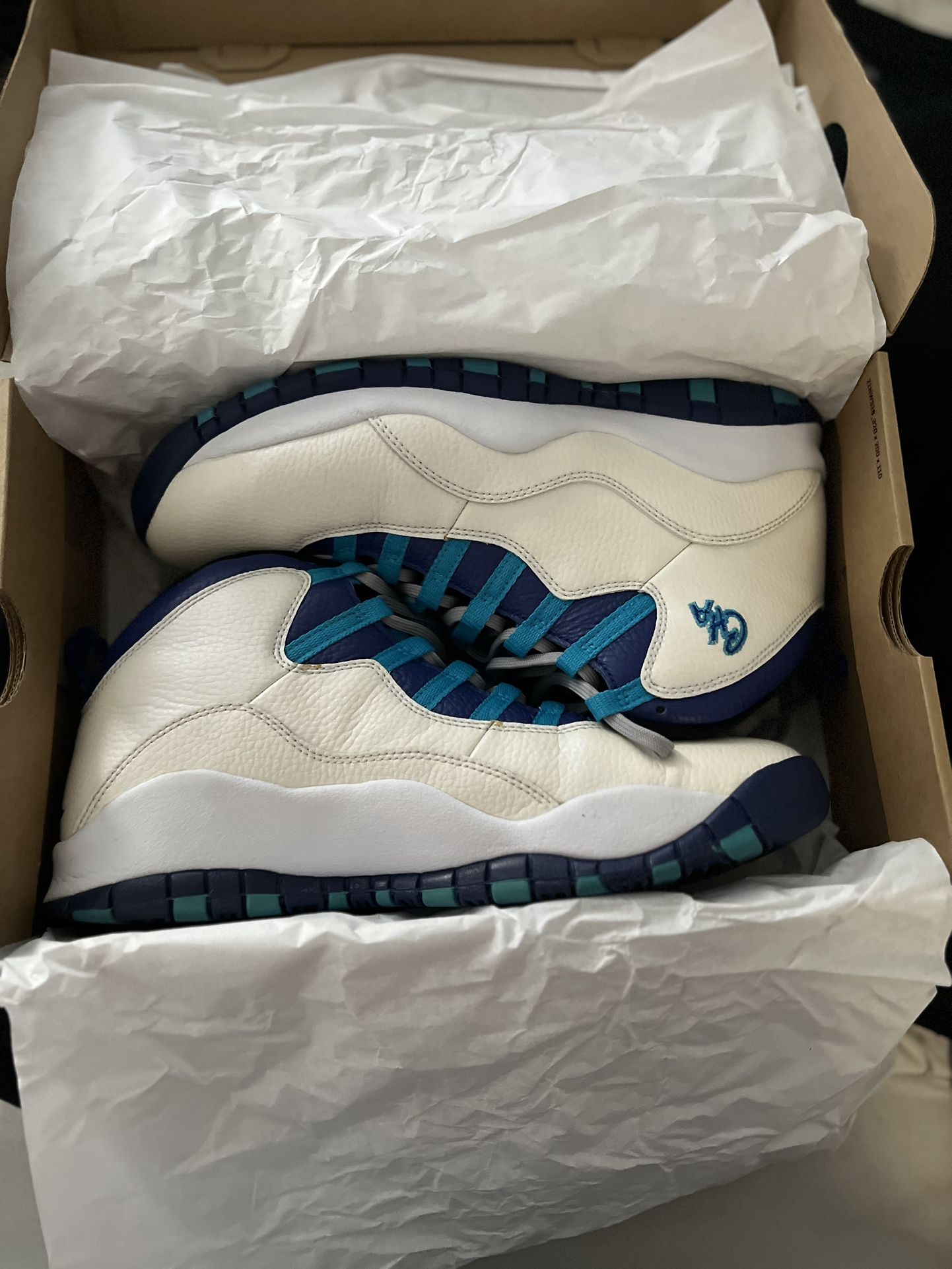 Jordan 10 Retro Charlotte Hornets Sz