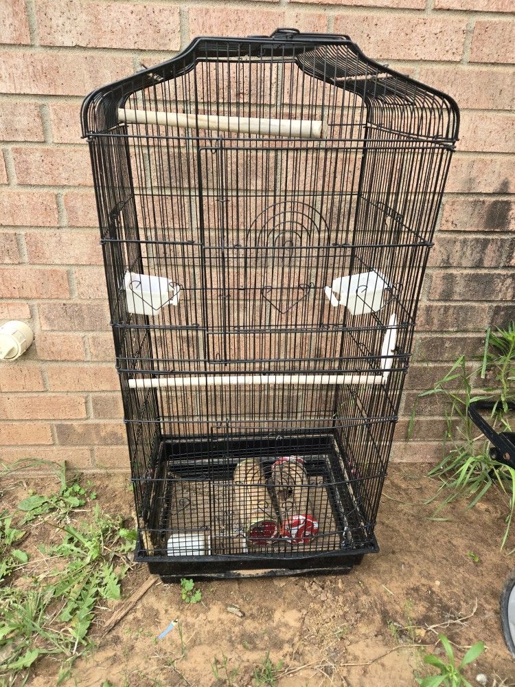 Bird Cage