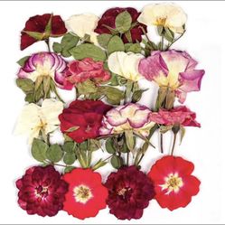 BMB Crazy Hold Super Lace Wig Glue Tube 1 oz