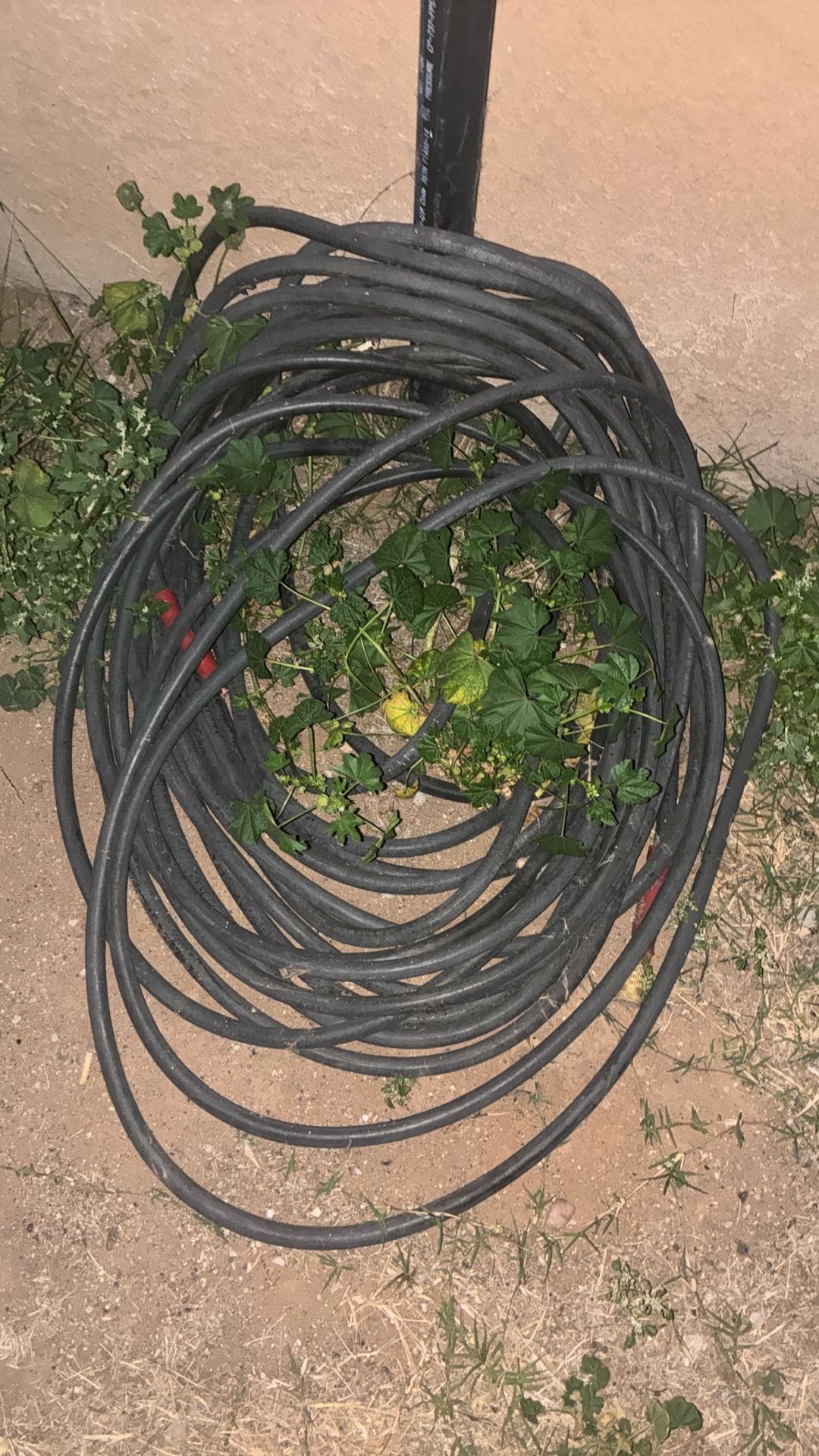 Free air hose