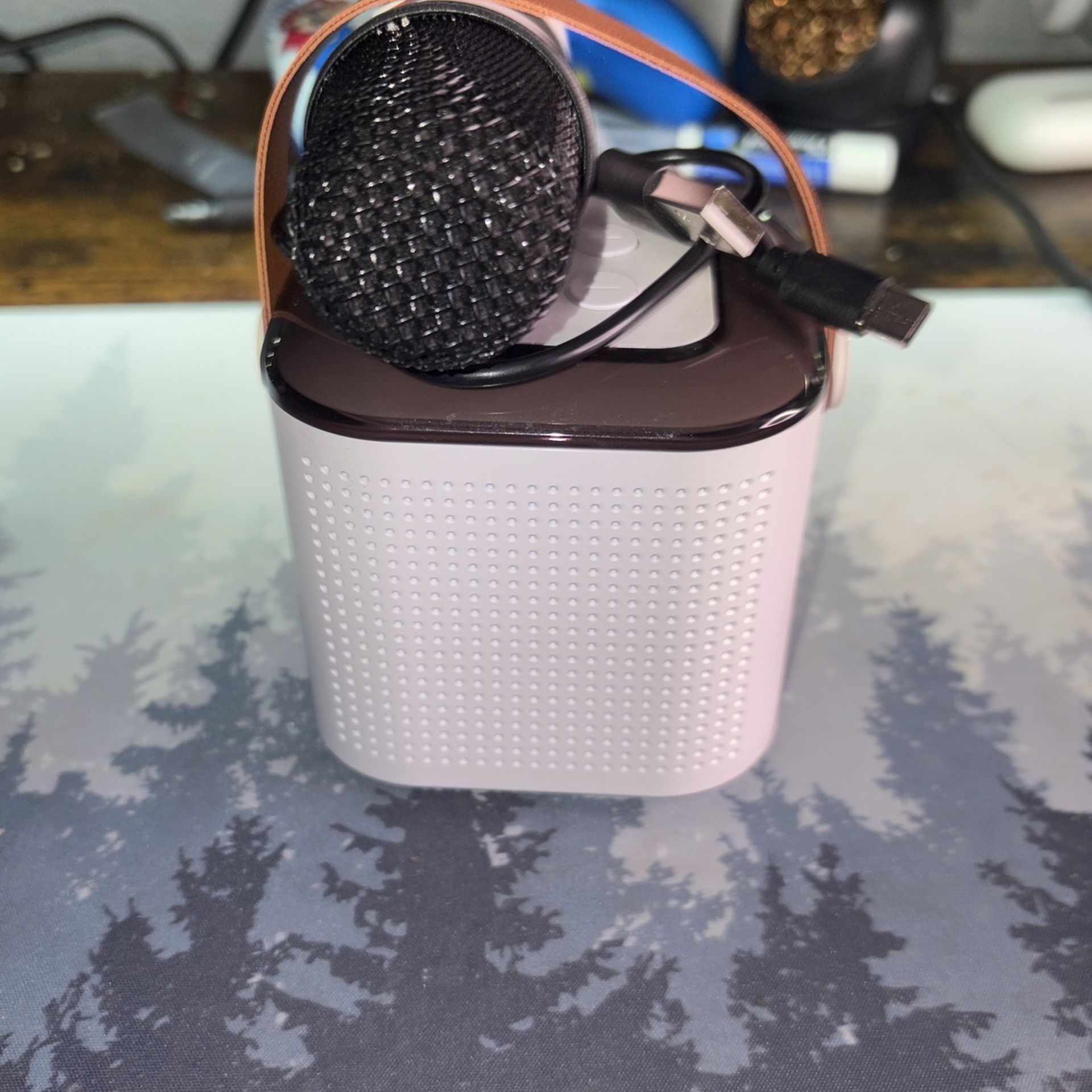 Mini Speaker With Microphone