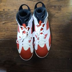 Nike Air Jordan CARMINE 6 Sz12