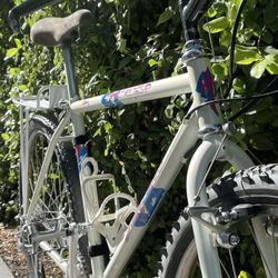 Vintage Specialized Stumpjumper Comp