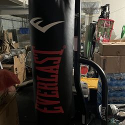 Punching Bag (stand Included)