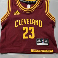 Cleveland Cavs Jersey Lebron James 