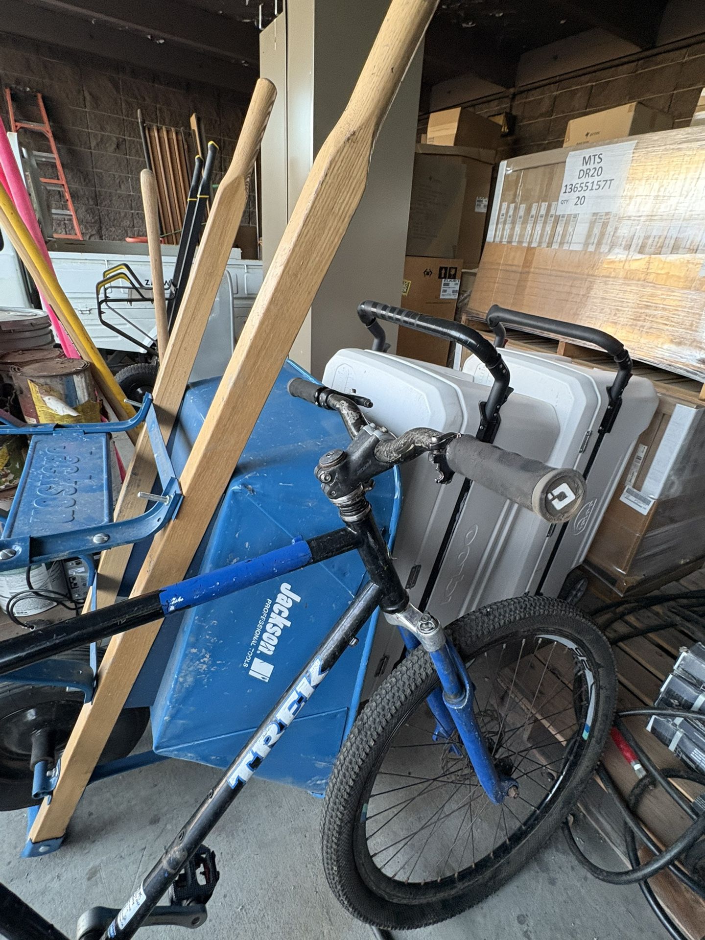 Trek Bike 