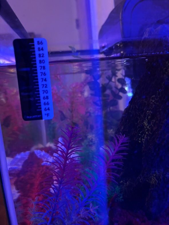 Brand 🆕 Fish Tank 🐟🐠