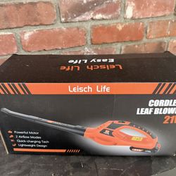 Cordless Electric Leaf blower 