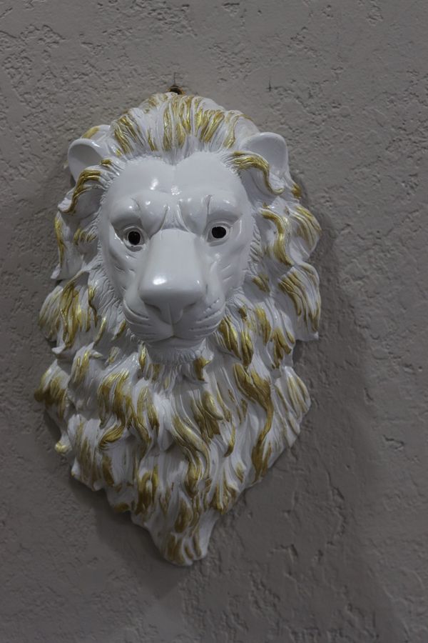 Plaster Lion Head Wall Sculpture For In Ypsilanti Mi Offerup