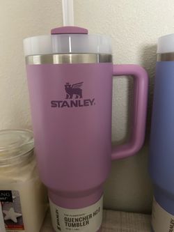 brand new purple stanley cup