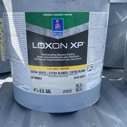 White Exterior Paint