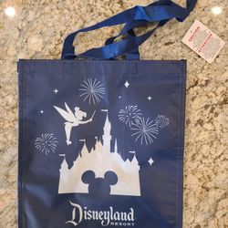 Reusable Disneyland Bag