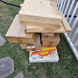 Bee Keeper 