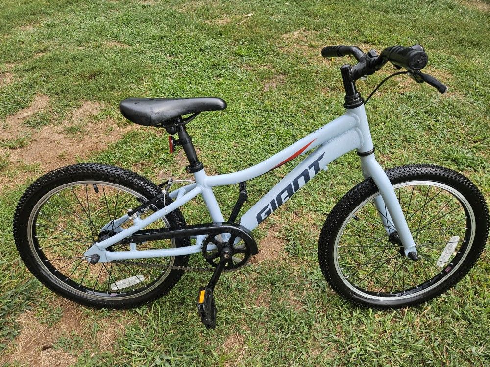 Gaint Xtc 20"