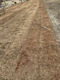 grass installation