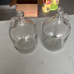2 Vintage Gallon Glass Jugs