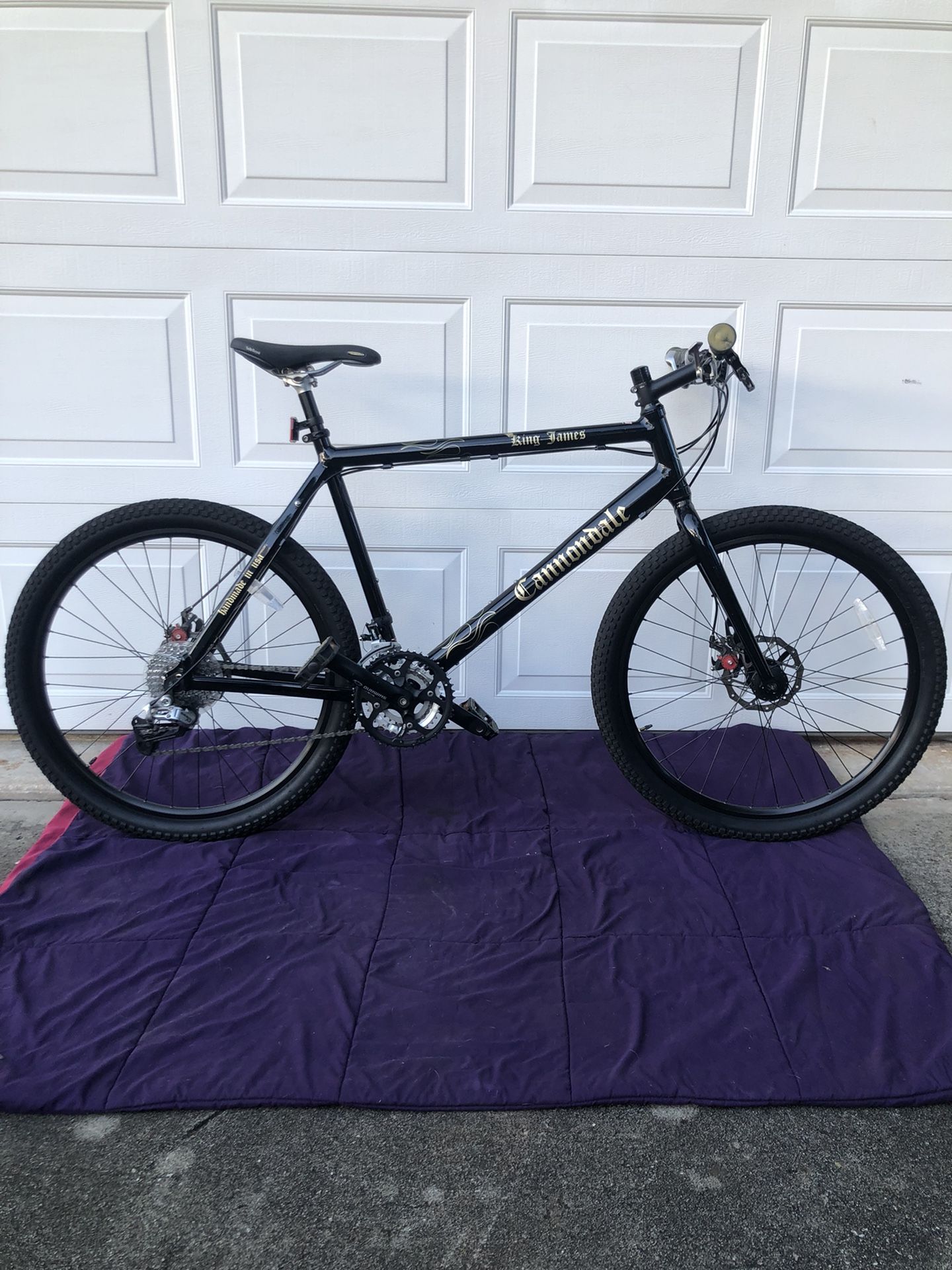 Cannondale Lebron James “King James” Bike