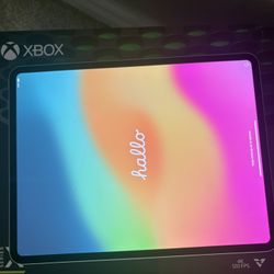 iPad Pro 13 inch( WiFi only)  600