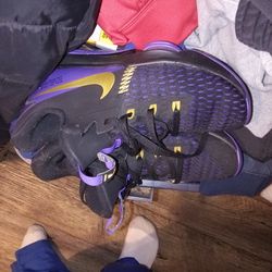 Men's LeBron shoes size 9.5,