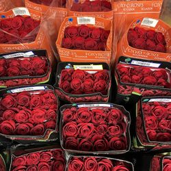 Wholesale Fresh Roses Available 