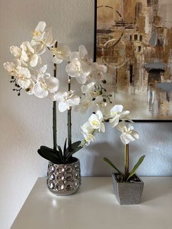 Orchids  decorations set