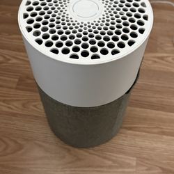 Blueair air pilfered