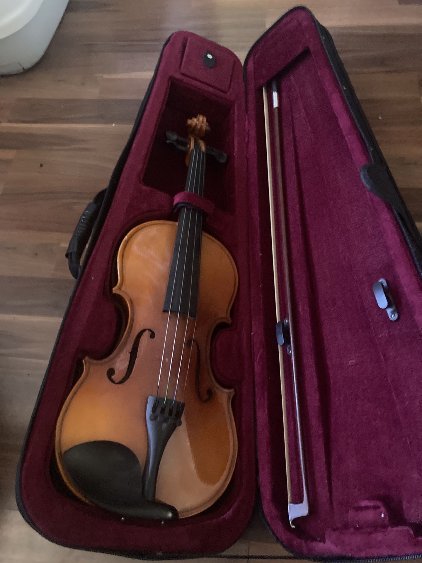 Beginner Violin