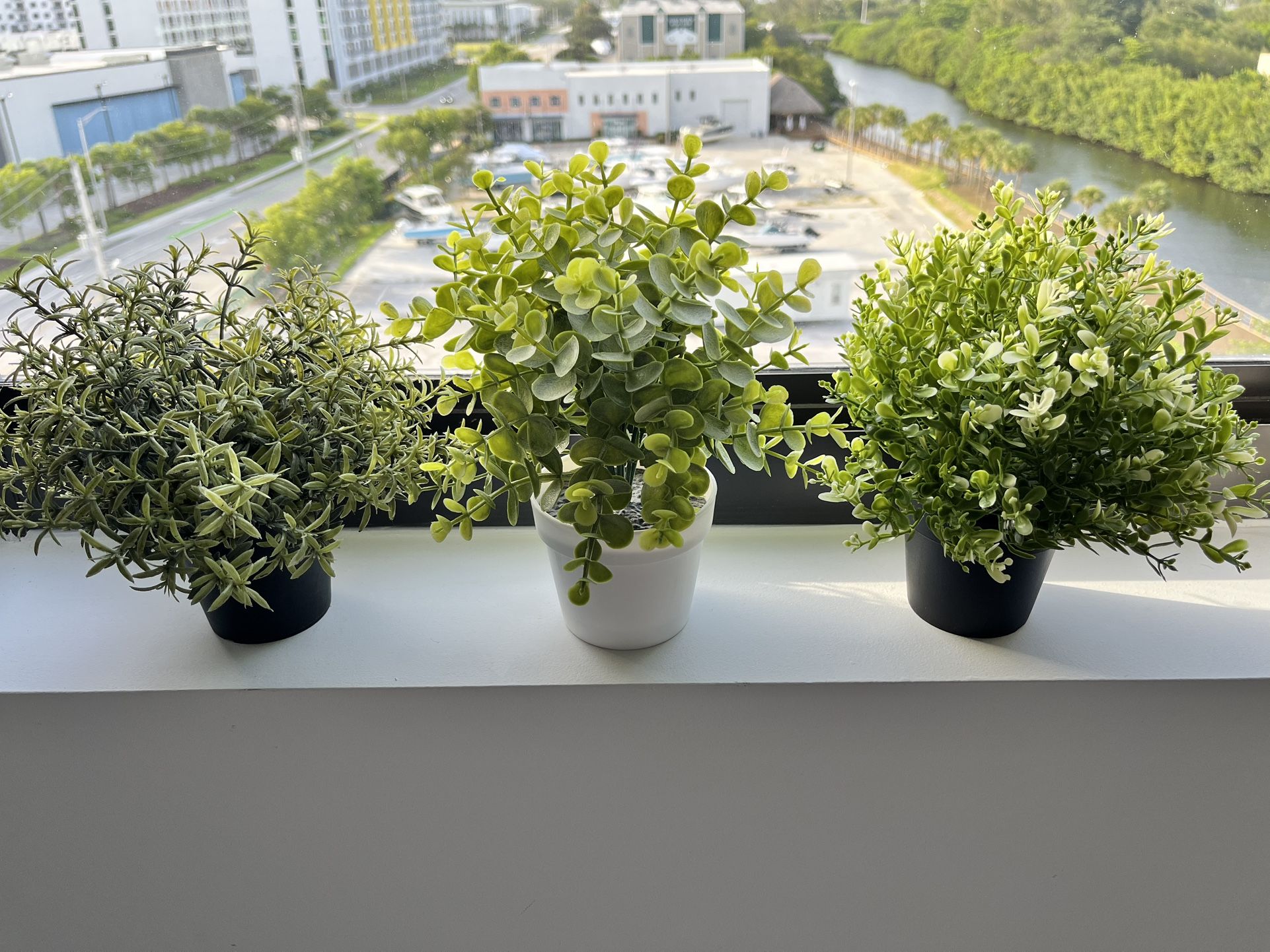 Set Artificial Plants 🪴