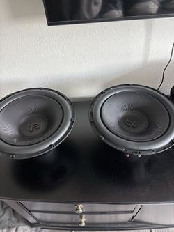 Woofers 12’ infinity