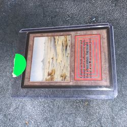 MTG: Magic The Gathering Beta Edition Badlands 1993