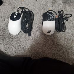 Zygen And Endgame Gear Mouse