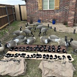 Canada Goose Decoys Full Outfitters Set