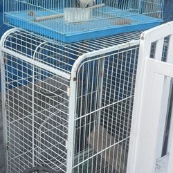 Bird Cages