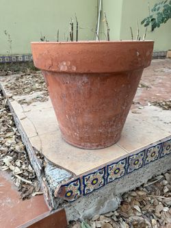Terracotta Pots